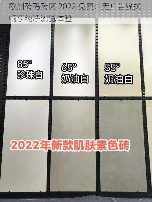 欧洲砖码砖区 2022 免费：无广告骚扰，畅享纯净浏览体验