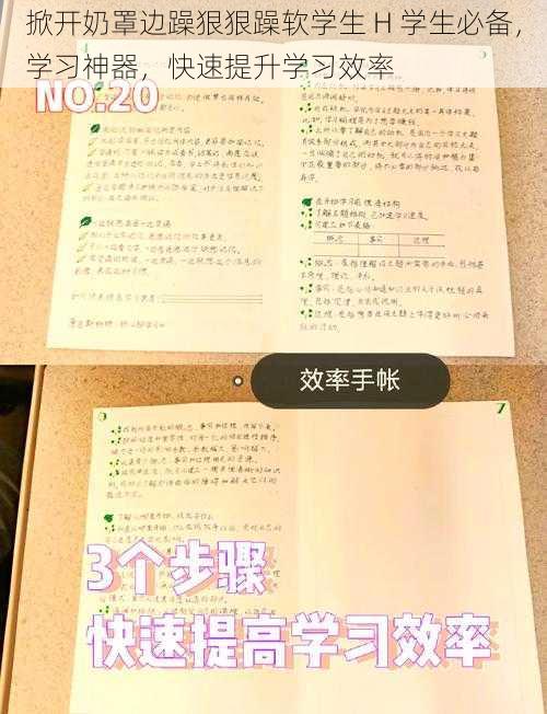 掀开奶罩边躁狠狠躁软学生 H 学生必备，学习神器，快速提升学习效率