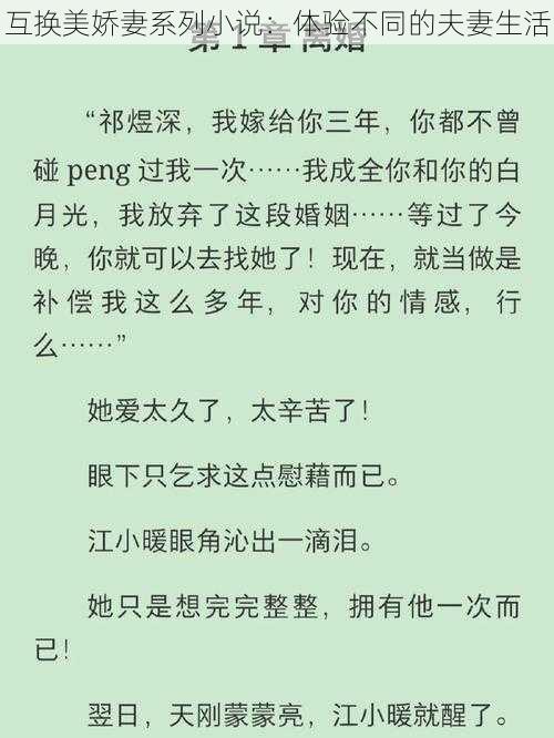 互换美娇妻系列小说：体验不同的夫妻生活