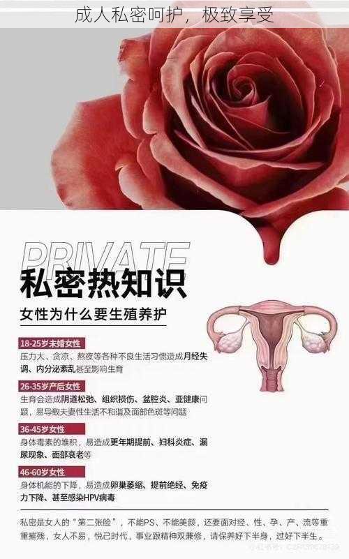 成人私密呵护，极致享受