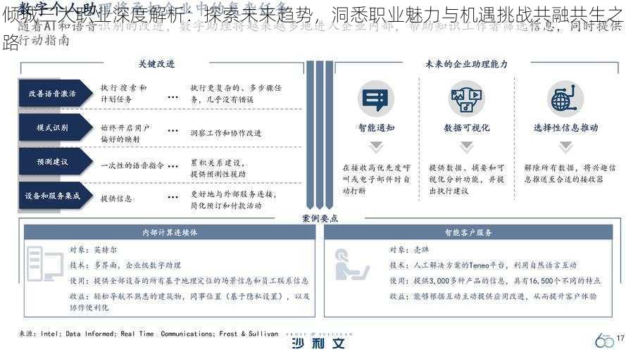 倾城三大职业深度解析：探索未来趋势，洞悉职业魅力与机遇挑战共融共生之路