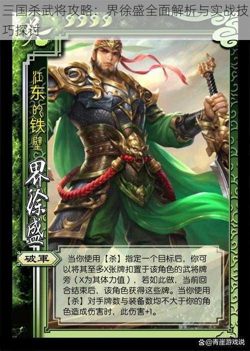 三国杀武将攻略：界徐盛全面解析与实战技巧探讨