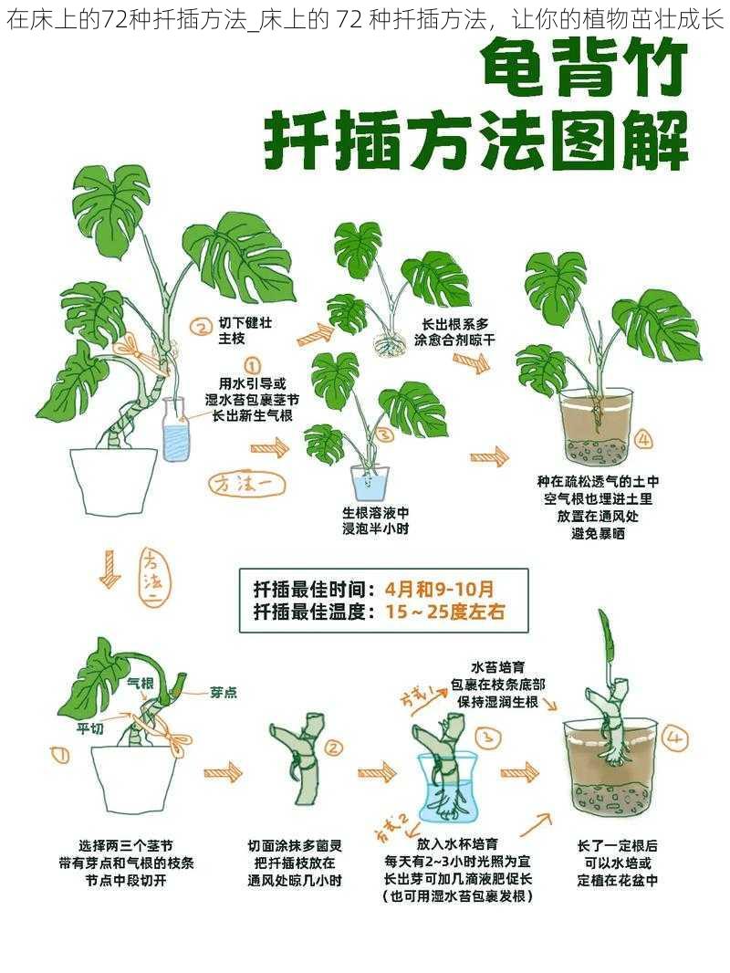 在床上的72种扦插方法_床上的 72 种扦插方法，让你的植物茁壮成长