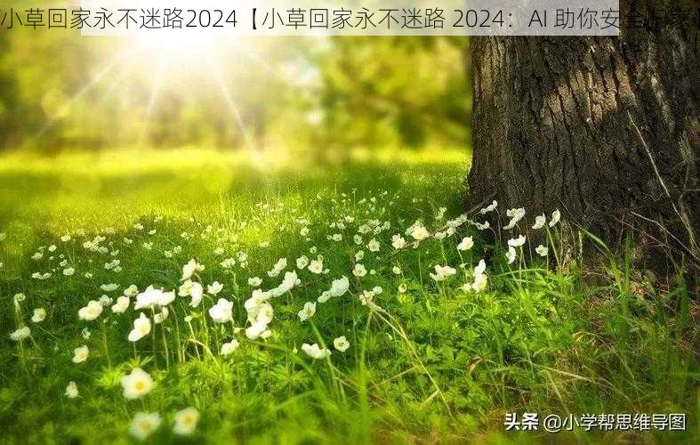 小草回家永不迷路2024【小草回家永不迷路 2024：AI 助你安全归家】