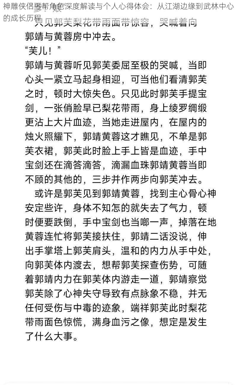 神雕侠侣丐帮角色深度解读与个人心得体会：从江湖边缘到武林中心的成长历程