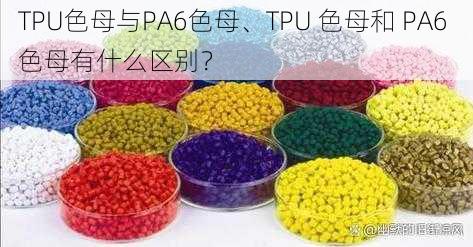 TPU色母与PA6色母、TPU 色母和 PA6 色母有什么区别？