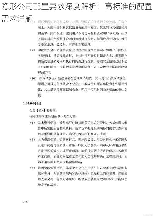 隐形公司配置要求深度解析：高标准的配置需求详解