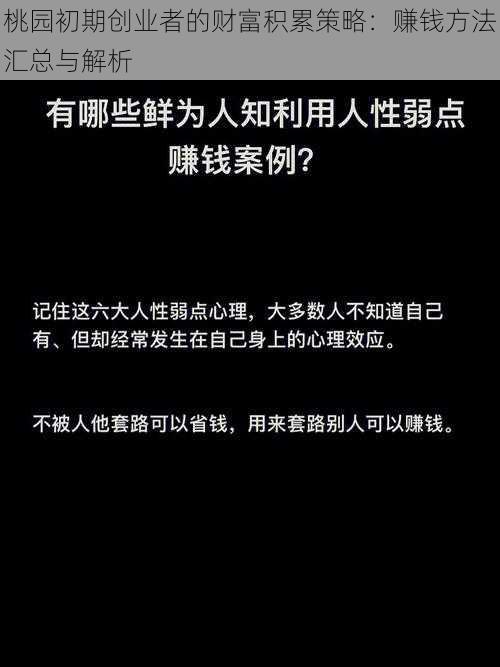 桃园初期创业者的财富积累策略：赚钱方法汇总与解析