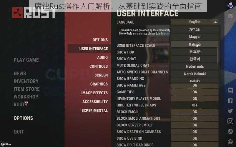 腐蚀Rust操作入门解析：从基础到实践的全面指南