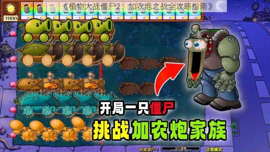 《植物大战僵尸2：加农炮之战全攻略指南》