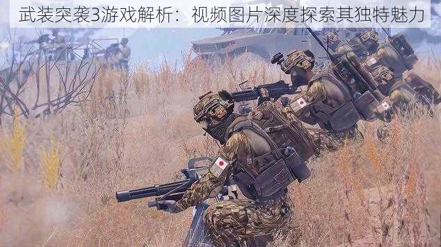 武装突袭3游戏解析：视频图片深度探索其独特魅力