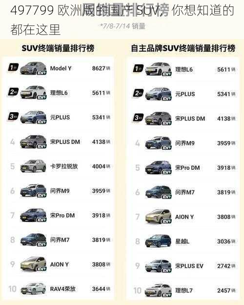 497799 欧洲版的国产 SUV，你想知道的都在这里