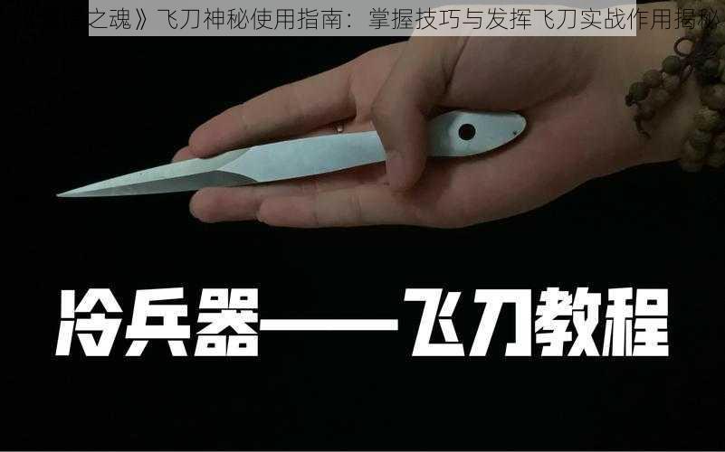 《黑暗之魂》飞刀神秘使用指南：掌握技巧与发挥飞刀实战作用揭秘