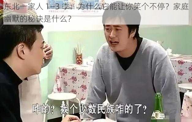 东北一家人 1—3 季：为什么它能让你笑个不停？家庭幽默的秘诀是什么？