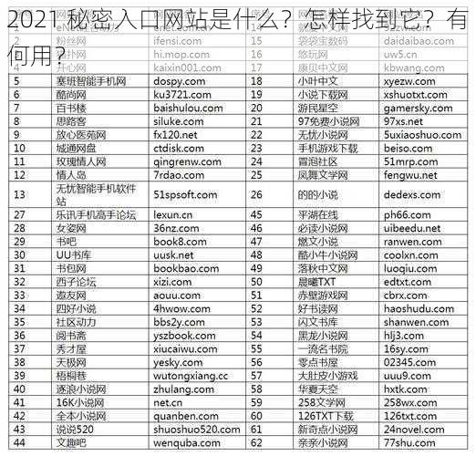 2021 秘密入口网站是什么？怎样找到它？有何用？