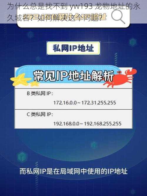 为什么总是找不到 yw193 龙物地址的永久域名？如何解决这个问题？