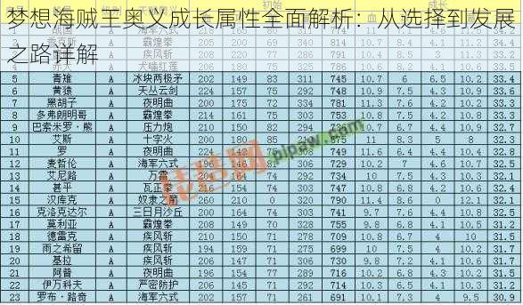 梦想海贼王奥义成长属性全面解析：从选择到发展之路详解