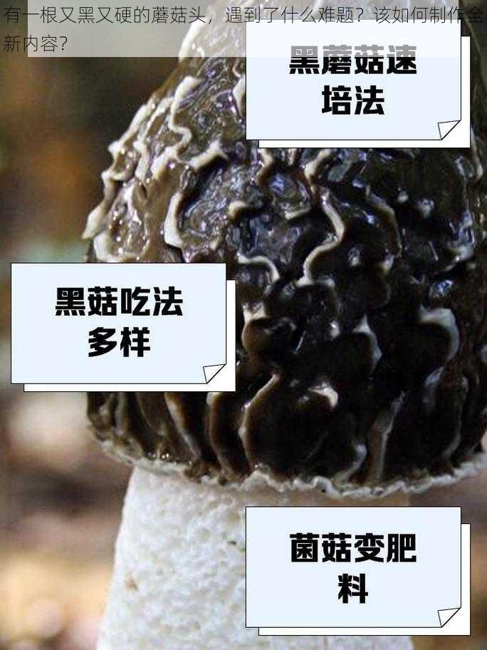 有一根又黑又硬的蘑菇头，遇到了什么难题？该如何制作全新内容？