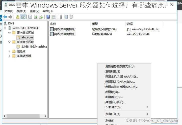 日本 Windows Server 服务器如何选择？有哪些痛点？