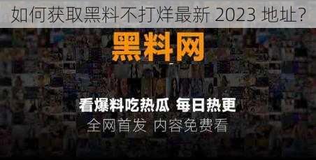 如何获取黑料不打烊最新 2023 地址？