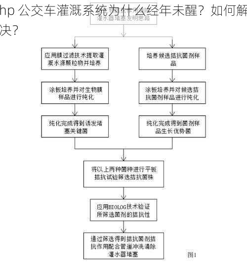 hp 公交车灌溉系统为什么经年未醒？如何解决？