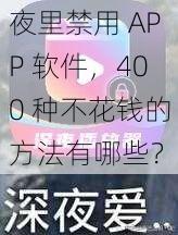 夜里禁用 APP 软件，400 种不花钱的方法有哪些？