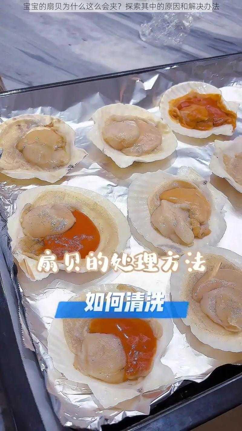 宝宝的扇贝为什么这么会夹？探索其中的原因和解决办法