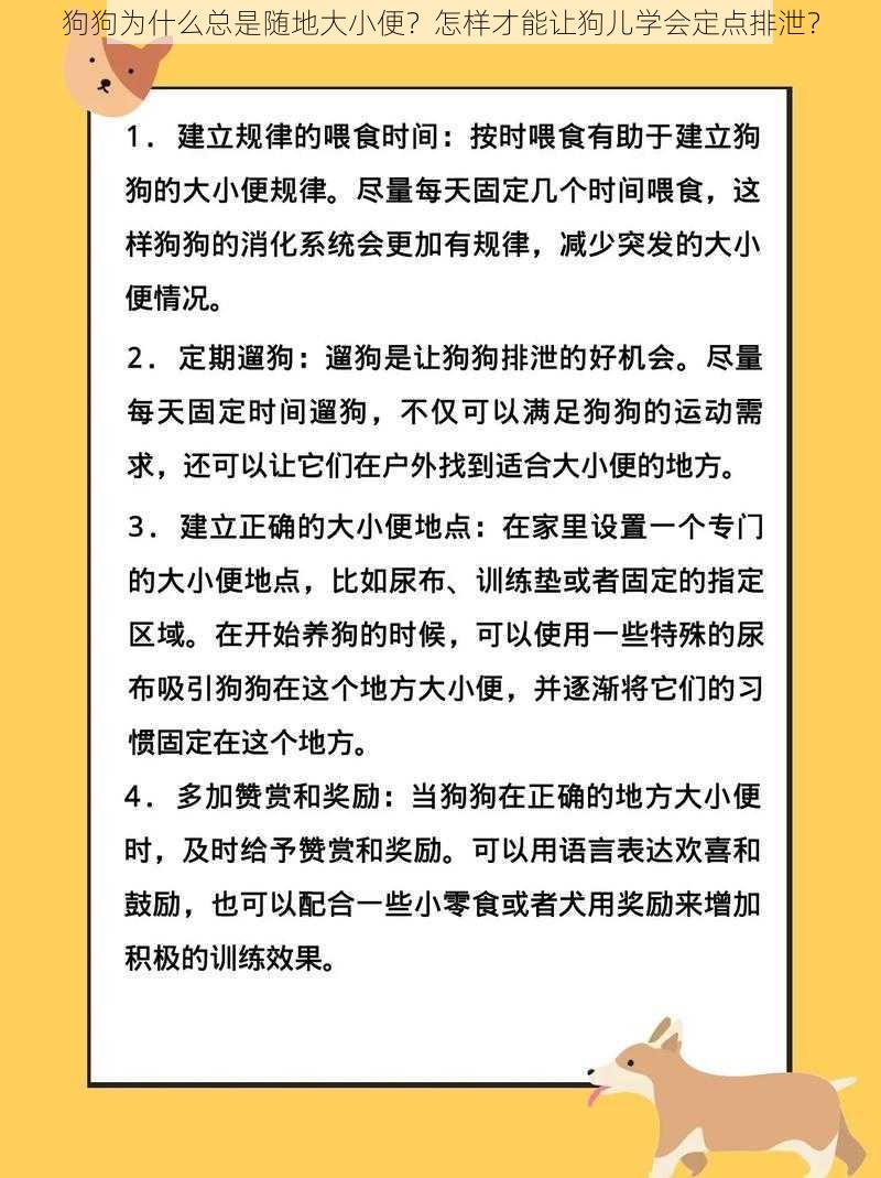 狗狗为什么总是随地大小便？怎样才能让狗儿学会定点排泄？