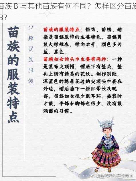 苗族 B 与其他苗族有何不同？怎样区分苗族 B？