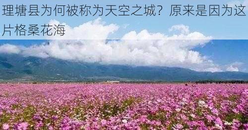 理塘县为何被称为天空之城？原来是因为这片格桑花海