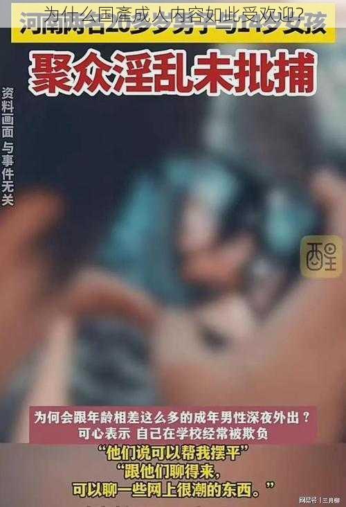 为什么国產成人内容如此受欢迎？