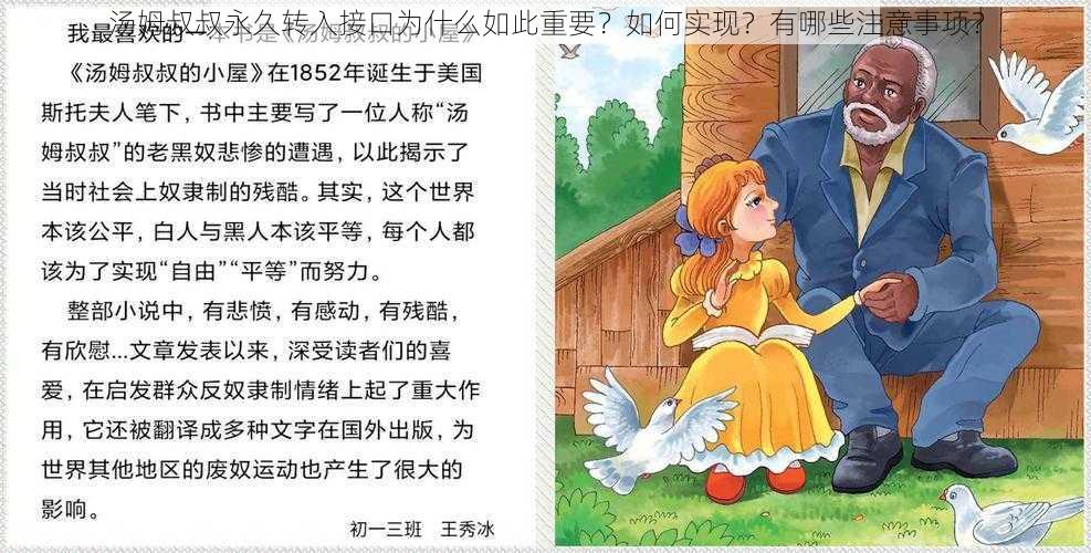 汤姆叔叔永久转入接口为什么如此重要？如何实现？有哪些注意事项？