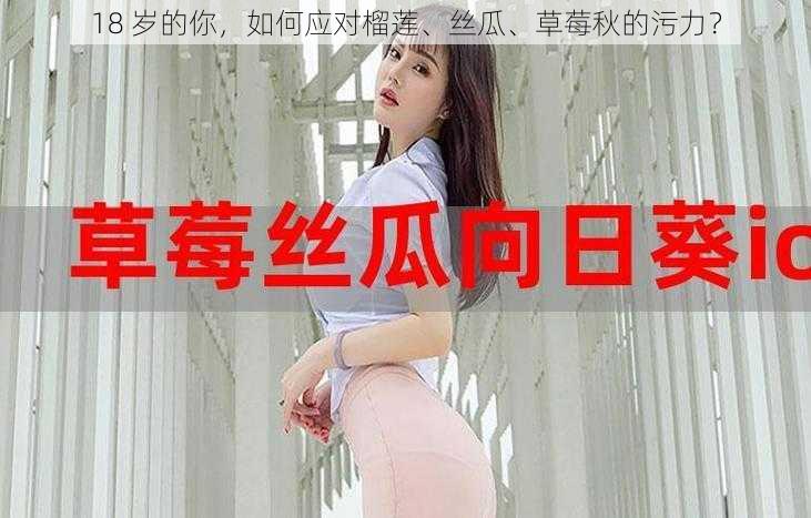 18 岁的你，如何应对榴莲、丝瓜、草莓秋的污力？