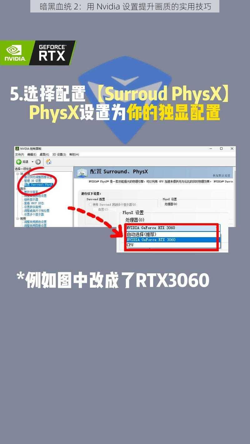 暗黑血统 2：用 Nvidia 设置提升画质的实用技巧