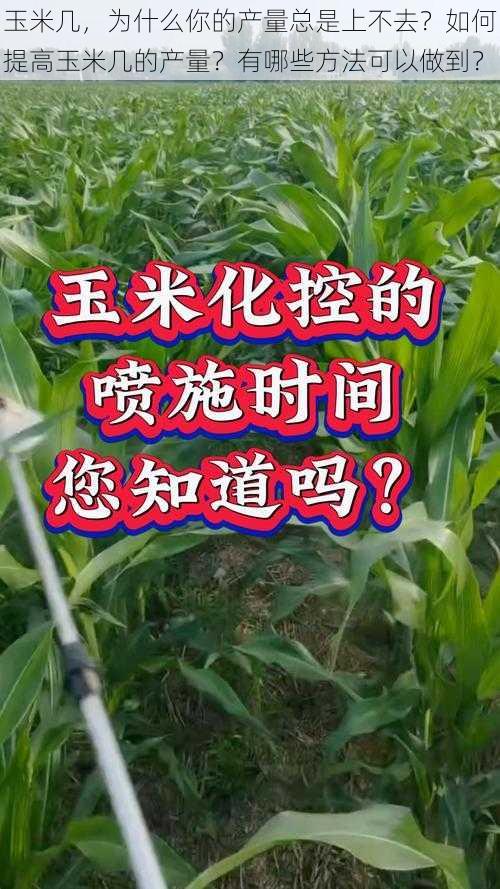 玉米几，为什么你的产量总是上不去？如何提高玉米几的产量？有哪些方法可以做到？