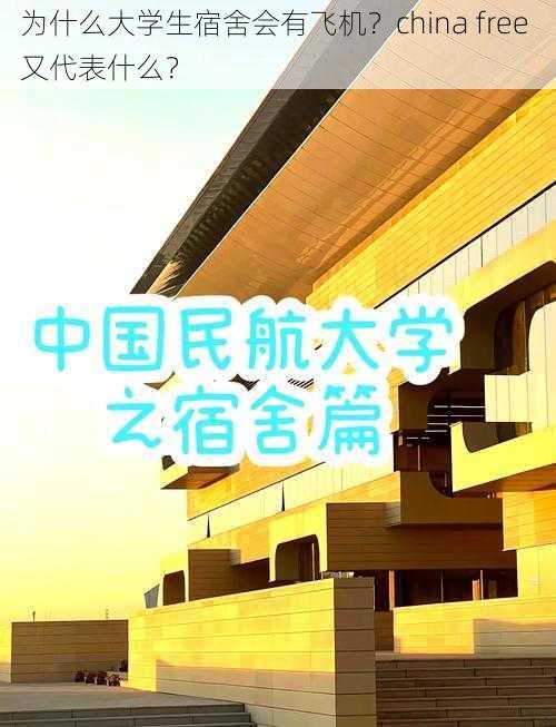 为什么大学生宿舍会有飞机？china free 又代表什么？