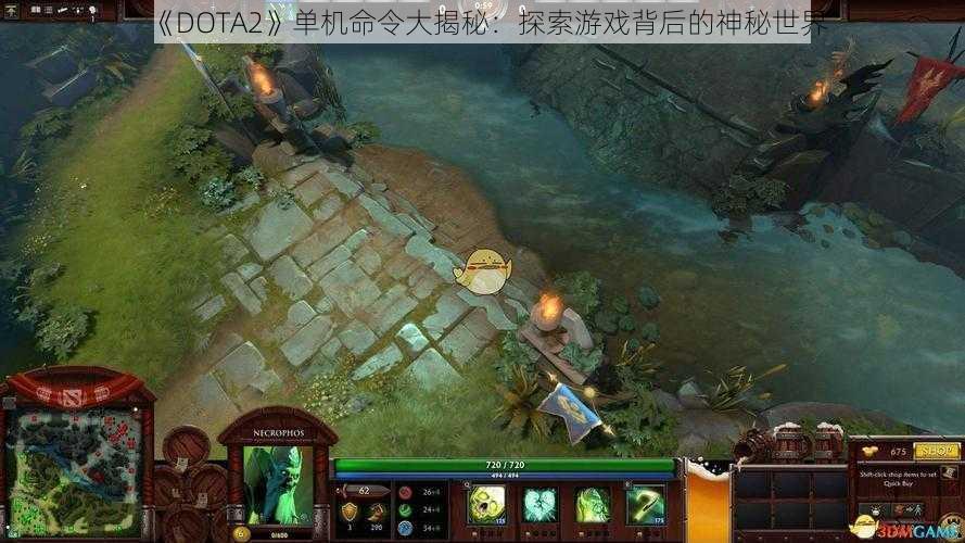 《DOTA2》单机命令大揭秘：探索游戏背后的神秘世界