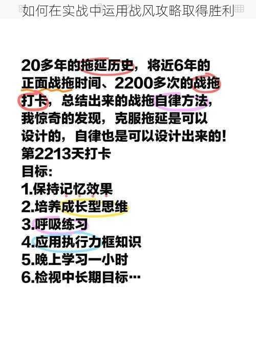 如何在实战中运用战风攻略取得胜利