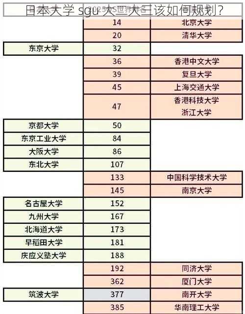 日本大学 sgu 大二大三该如何规划？