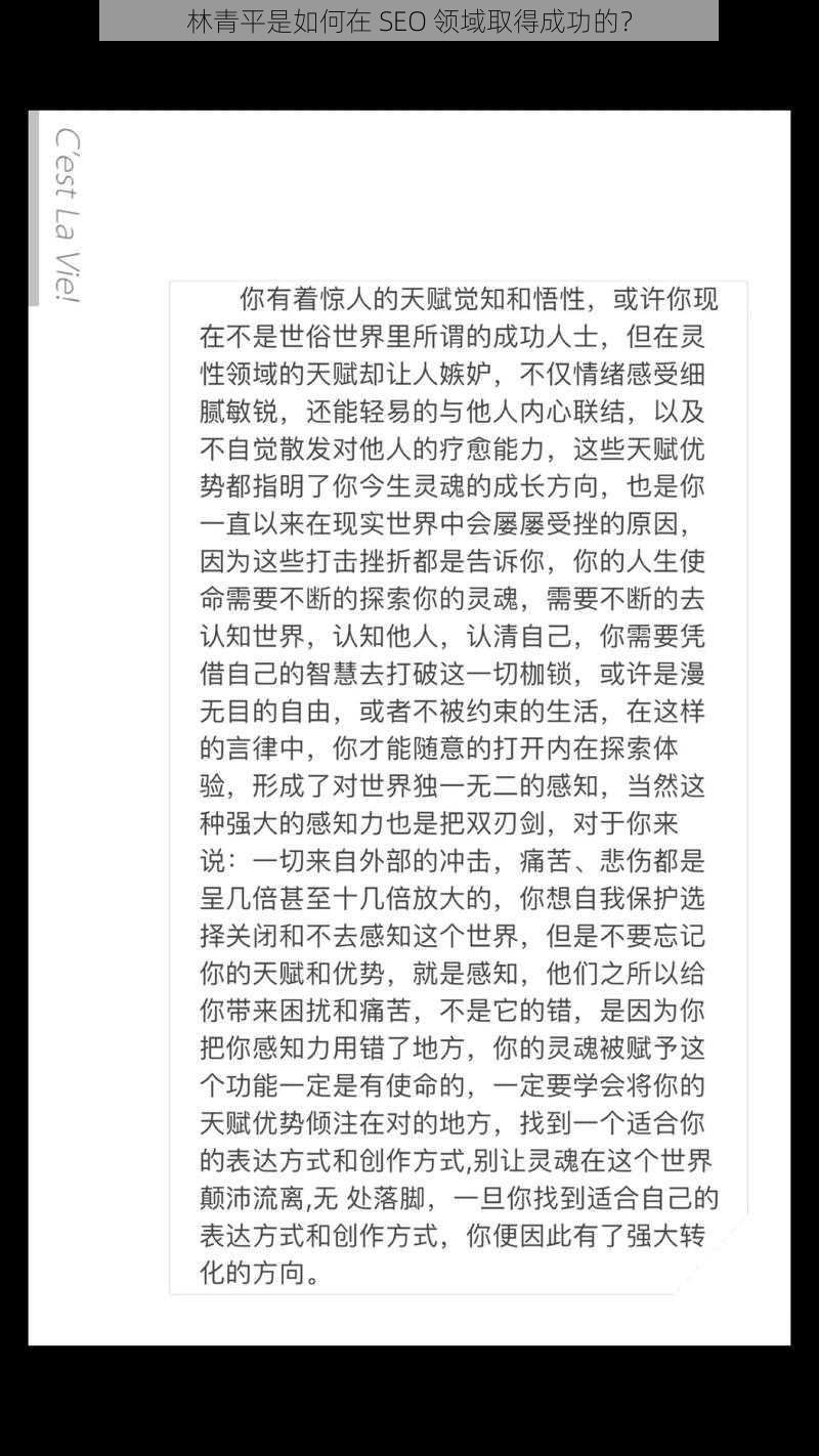 林青平是如何在 SEO 领域取得成功的？