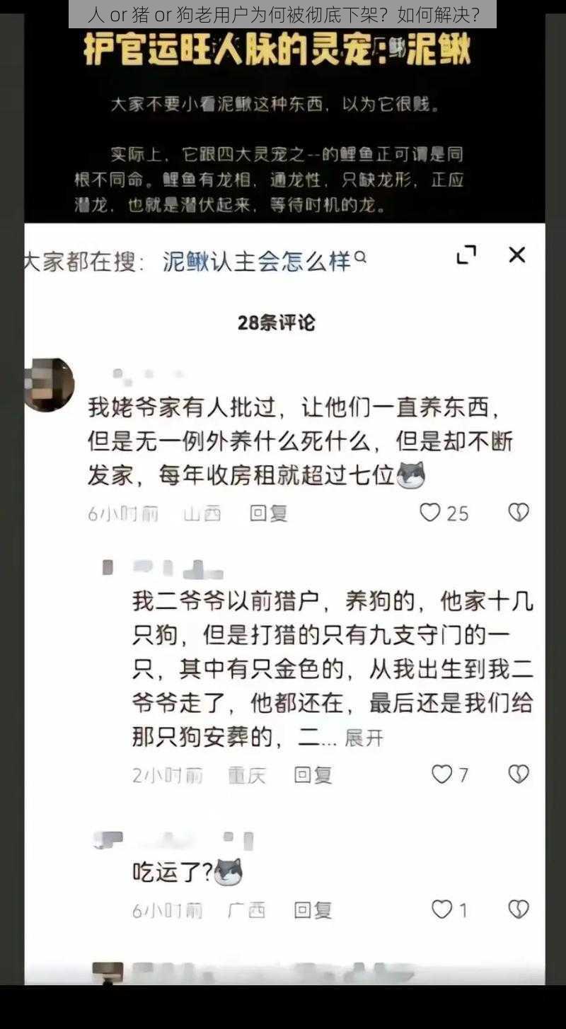 人 or 猪 or 狗老用户为何被彻底下架？如何解决？