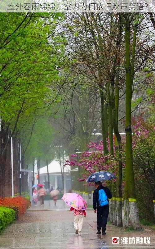 室外春雨绵绵，室内为何依旧欢声笑语？