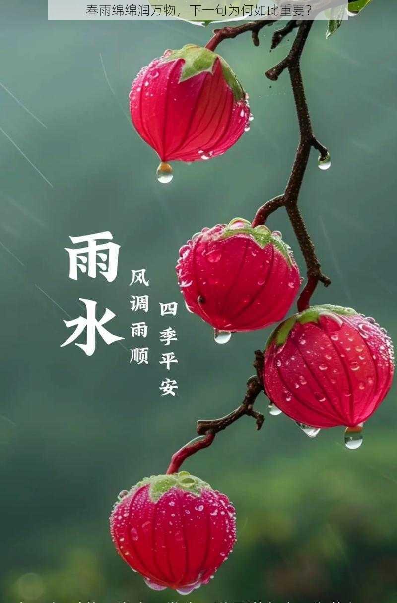 春雨绵绵润万物，下一句为何如此重要？