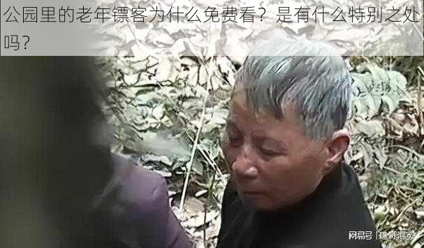 公园里的老年镖客为什么免费看？是有什么特别之处吗？