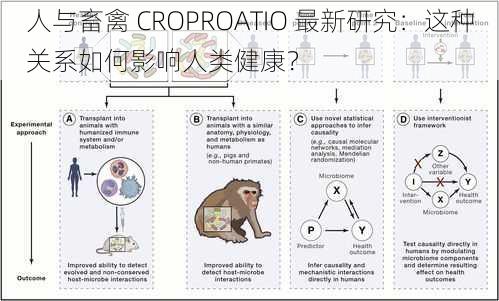 人与畜禽 CROPROATIO 最新研究：这种关系如何影响人类健康？