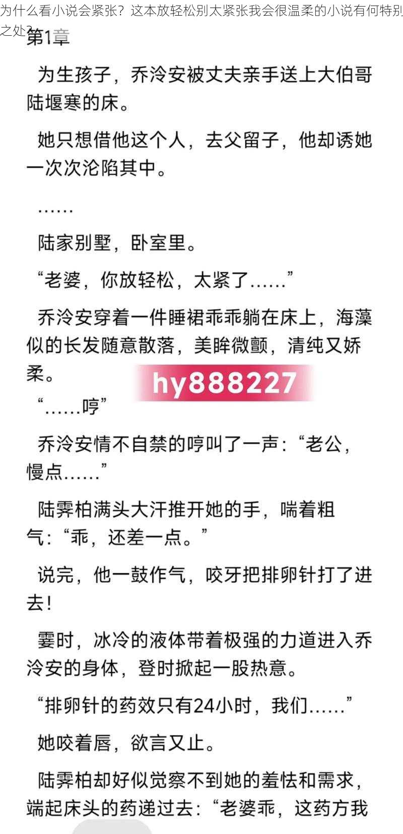 为什么看小说会紧张？这本放轻松别太紧张我会很温柔的小说有何特别之处？