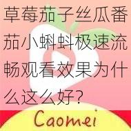 草莓茄子丝瓜番茄小蝌蚪极速流畅观看效果为什么这么好？