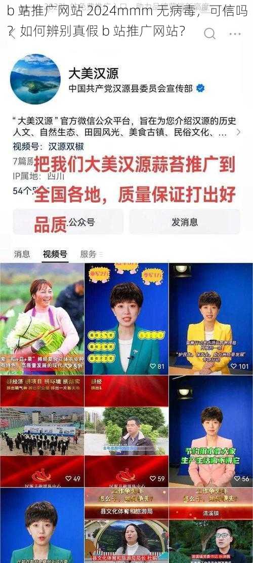 b 站推广网站 2024mmm 无病毒，可信吗？如何辨别真假 b 站推广网站？