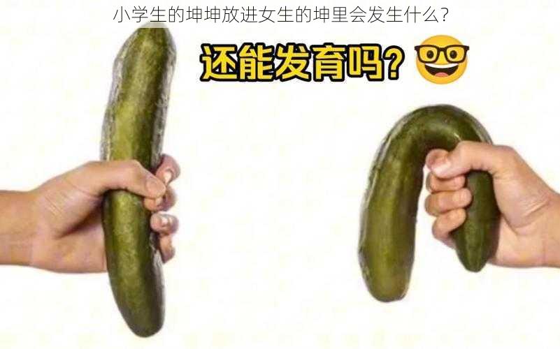 小学生的坤坤放进女生的坤里会发生什么？