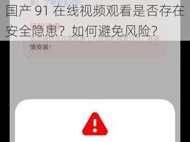 国产 91 在线视频观看是否存在安全隐患？如何避免风险？